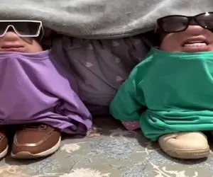 آواز شاد؛ هنرنمایی دونفر با آهنگ خودت گل/ مغزتون آب روغن قاطی میکنه از خلاقیتشون