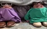آواز شاد؛ هنرنمایی دونفر با آهنگ خودت گل/ مغزتون آب روغن قاطی میکنه از خلاقیتشون