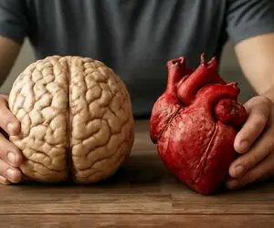 چرا عاشق می‌شویم؟ کار دل است یا هورمون‌ها؟ پاسخی علمی اما ساده و روشن