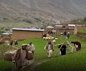 معماری طبیعت؛ خدا برای مردم تهی دست روستا روزیه درشت فرستاد