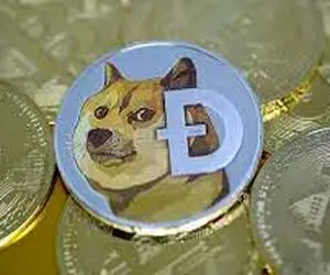 دوج کوین ناجی اینترنت!؟
