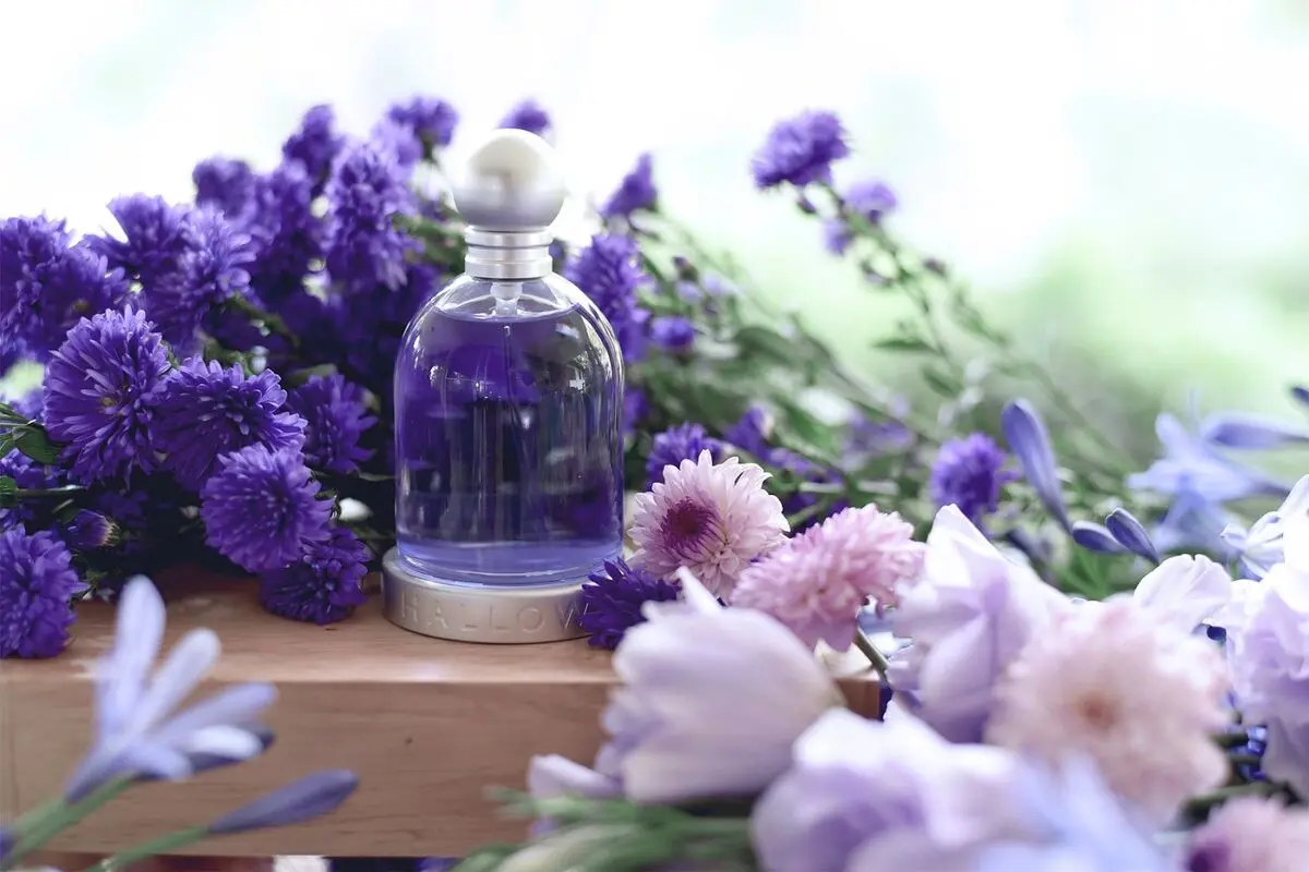عطر های محبوب برای خانم ها