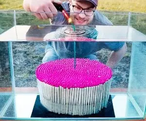 کشاورزی نوین؛ چوب کبریتو انداخت تو آب خیس خورد بعد ریخت پای گیاه 1 روزه گوجه ها رسیدن