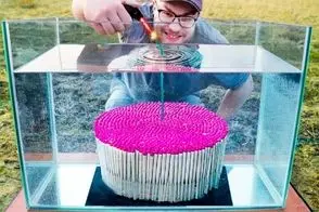 کشاورزی نوین؛ چوب کبریتو انداخت تو آب خیس خورد بعد ریخت پای گیاه 1 روزه گوجه ها رسیدن