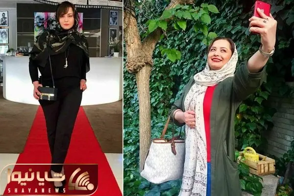 mehrave sharifinia shayanews