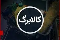 تصمیم مهم دولت در واریز کالابرگ؛ 25 مرداد حساب این افراد به مراتب شارژ می شود