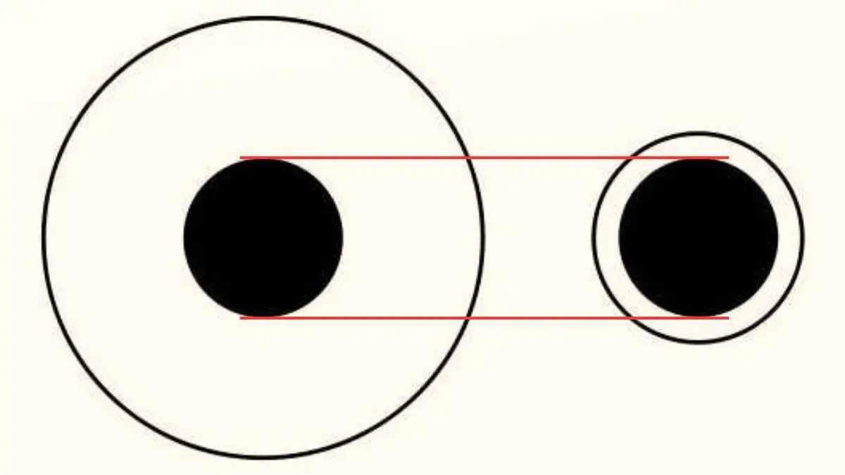 پاسخ-تست-هوش-دایره-سیاه-بزرگتر