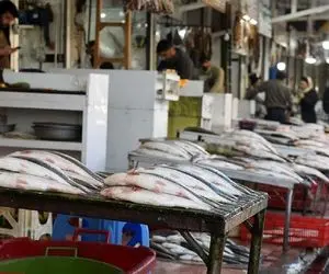 قیمت انواع ماهی امروز پنج شنبه 8 مهر