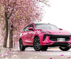 لاماری کی و با چه قیمتی در بورس عرضه می شود؟