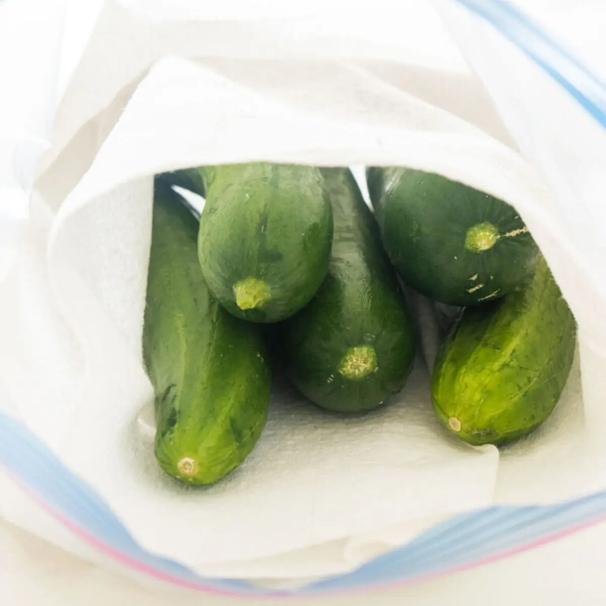 How-to-Store-Cucumbers-to-Last-for-Weeks-Featured-Image-768x768