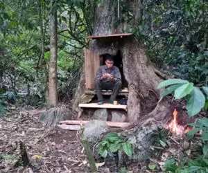 معماری خلاقانه؛ آقاهه تو تنه درخت واسه خودش کلبه ساخته شاهانه پله هاشو ببین