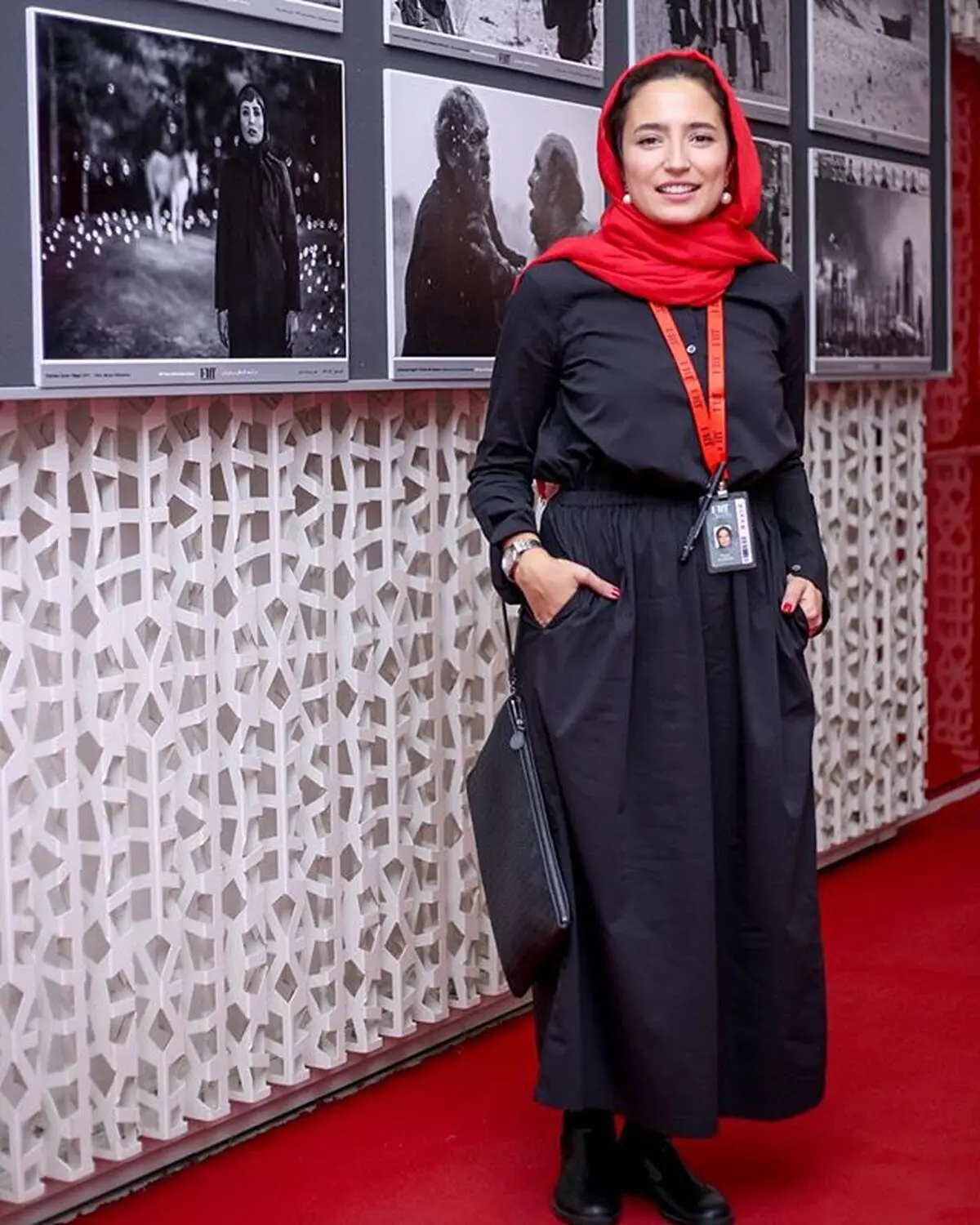 Negar-6