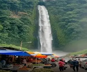 معماری طبیعت؛ عزرائیل به بازار سر زد اون آدمایی که میخواستو گلچین کرد
