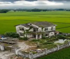 معماری خلاقانه؛ خونه ارث و میراثی رو کوبوندن ویلای مدرن ساختن تو دل شالیزار