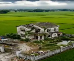 معماری خلاقانه؛ خونه ارث و میراثی رو کوبوندن ویلای مدرن ساختن تو دل شالیزار