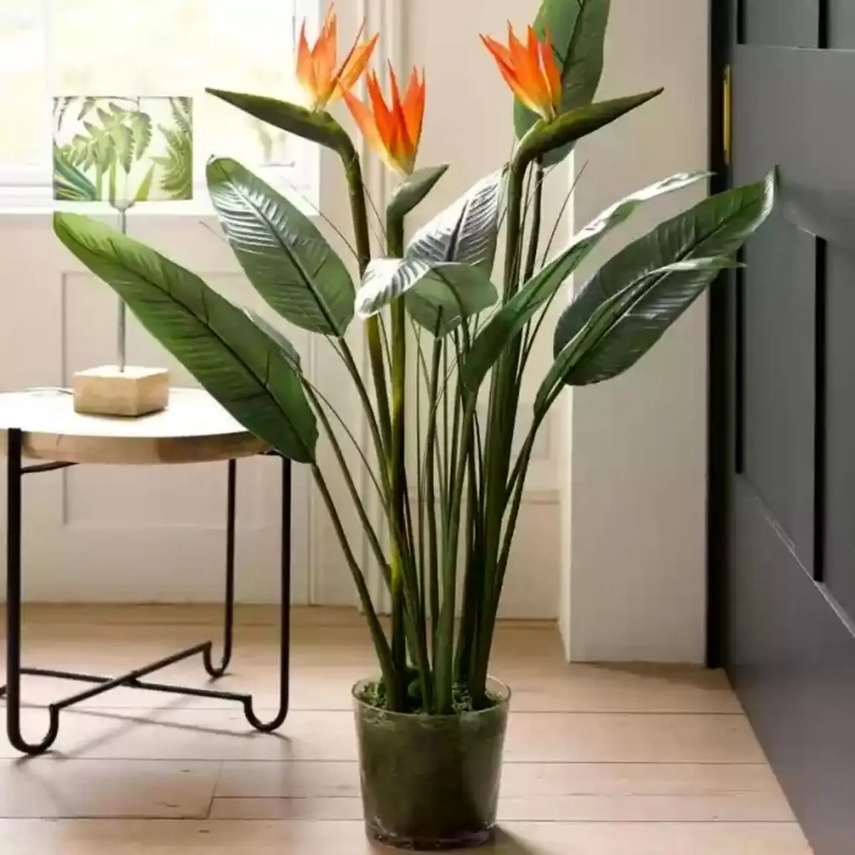 گیاهان مختص پذیرایی