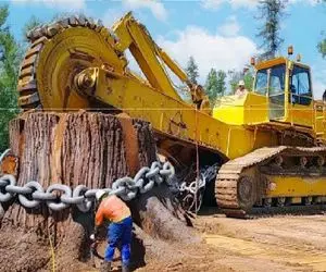 ابزارآلات غول پیکر؛ بیل مکانیکی غول برا سرعت بیشتر قلع‌وقمع زنجیرشو انداخت دور درخت