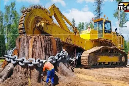 ابزارآلات غول پیکر؛ بیل مکانیکی غول برا سرعت بیشتر قلع‌وقمع زنجیرشو انداخت دور درخت