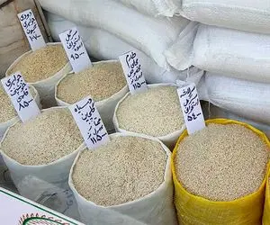 ممنوعیت واردات، بازار برنج را به هم ریخت/ حمایت از تولید از جیب مصرف‌کننده!