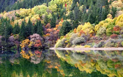 شگفتی های طبیعت؛ پاییز که میشه درختای دره جیوژایگو تو چین یه رنگین کمون هزار رنگه