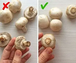 میخوای قارچ غذات عین پنبه سفید باشه و آب هم نندازه؟ بیا ببین همه چیو راجبش گفتم!