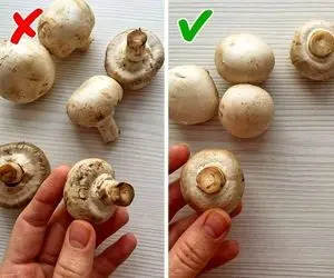 میخوای قارچ غذات عین پنبه سفید باشه و آب هم نندازه؟ بیا ببین همه چیو راجبش گفتم!