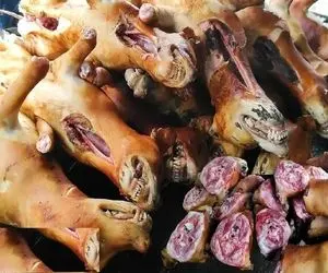 کباب سگ؛ سگ نازنازی بعد سربریدن بریونی و مثله کردن کله پاچه شو فروخت به مردم