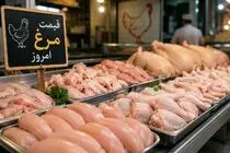 قیمت مرغ امروز سه شنبه 3 شهریور 1405 / فیله مرغ چقدر شد؟