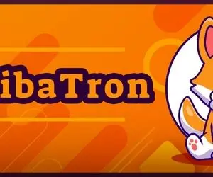 شیباترون اعتبار شیبااینو رو خراب کرد؟