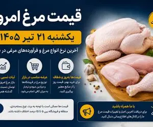 قیمت مرغ امروز یکشنبه 21 تیر 1405 | فیله و سینه مرغ چند؟ + جدول