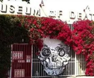 پایتان را در این موزه بگذارید یا حالت تهوع می گیرید یا غش می کنید؛ تکسی دِرمی انسان؟