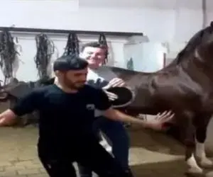 آواز شادیسم؛ مرد سیرجانی یجور بندری میزنه اسب ترسیده به خودش