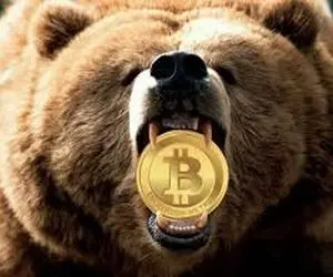خرس ها در تلاش  گرفتن تاج پادشاهی بیت کوین؟
