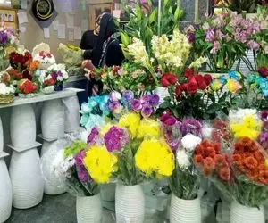 بازار گل امام رضا(ع) تعطیل می‌شود؟