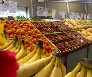 قیمت موز گران است؛ سیب بخورید!