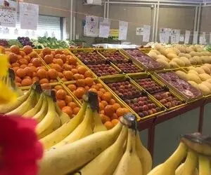 قیمت موز گران است؛ سیب بخورید!