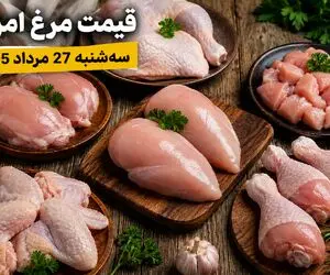 قیمت مرغ امروز سه شنبه 27 مرداد 1405 / رشد 290 درصدی مرغ!