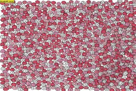 بازی فکری؛ پیدا کردن 5 ستاره دود از کلت بلند میکنه مگر از نخبگان باشی