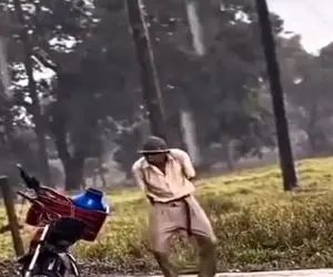 آواز شاد؛ پایکوبی مرد اسکلتی تو بارون و غوغا کردن سگ هاسکی با رقص پاش