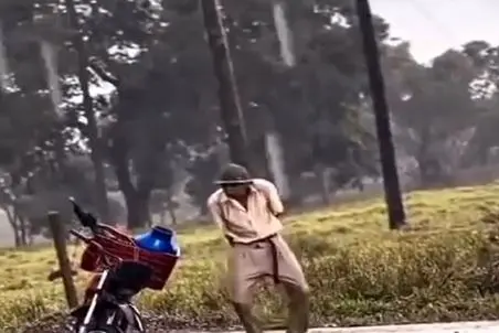 آواز شاد؛ پایکوبی مرد اسکلتی تو بارون و غوغا کردن سگ هاسکی با رقص پاش