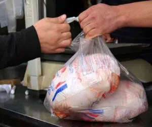 مرغ امروز دوشنبه 9 خرداد در بازار چند شد؟