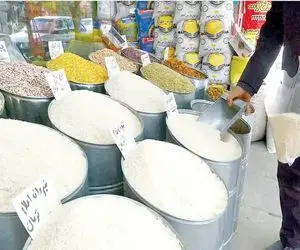 برنج ایرانی باز هم گران می‌شود؟