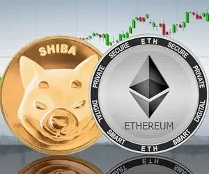 قضیه عجیب بین نهنگ اتریوم و شیبا!