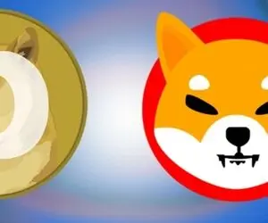 انفجاری عظیم برای شیبا و دوجکوین!