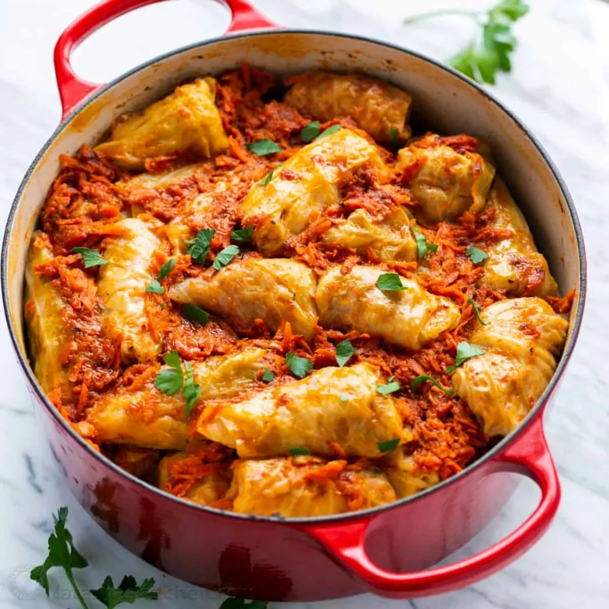 cabbage-rolls-6