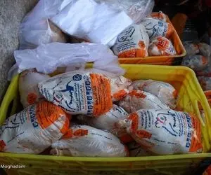 
پر و بال تولید مرغ چیده شد
