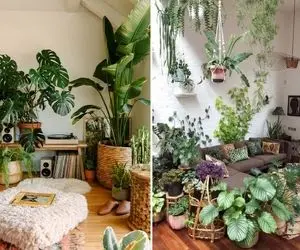 نحوه ی چیدمان گیاهان در فضا بر اساس فنگ شویی جهت افزایش ثروت / گلدوناتو این قسمت بذار