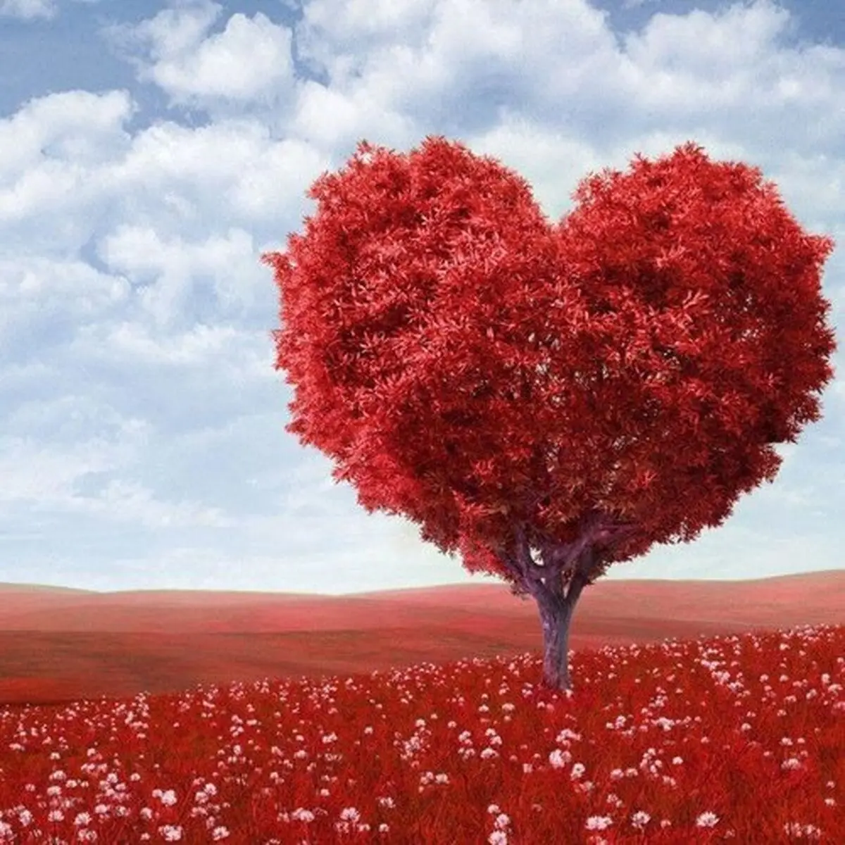 چطور برای شوهرم دلبری کنم