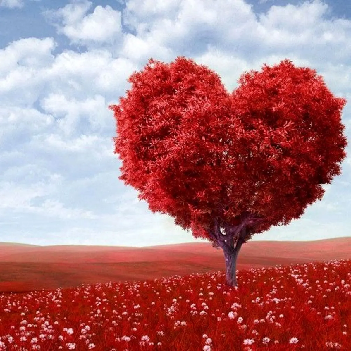 چطور برای شوهرم دلبری کنم