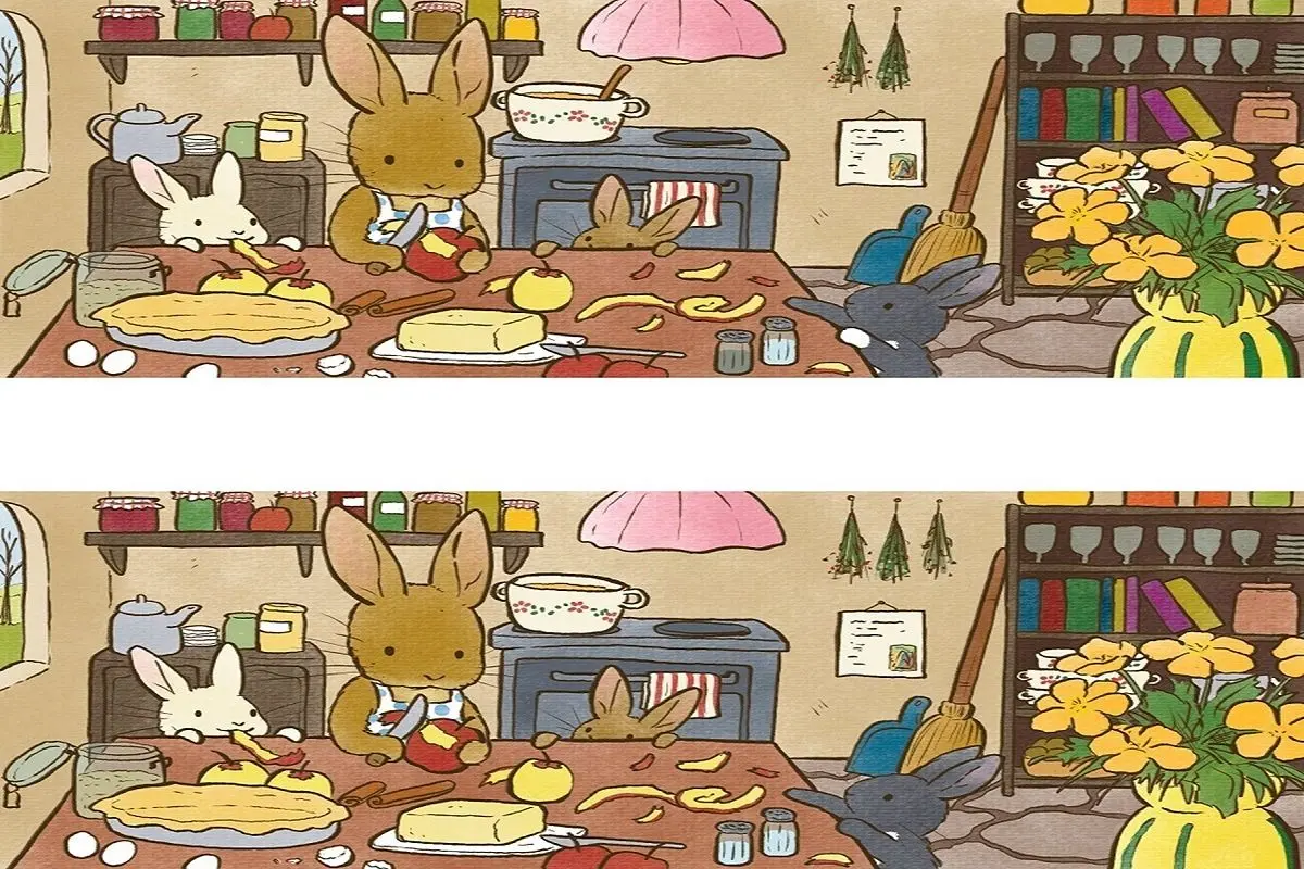 آزمون-تصویری-خانه-خرگوش-ها-2